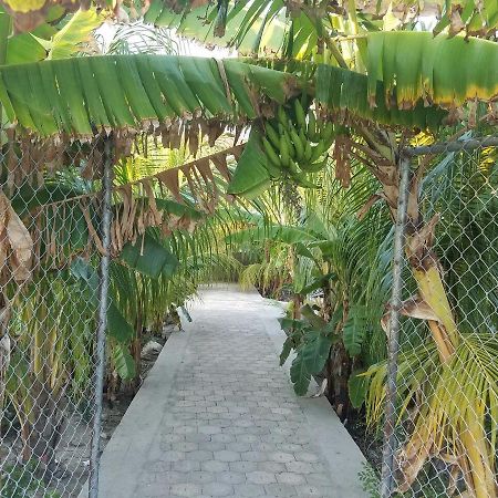 Auberge Pont-Gaudin Gonaives エクステリア 写真