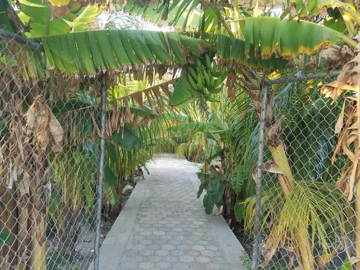 Auberge Pont-Gaudin Gonaives エクステリア 写真